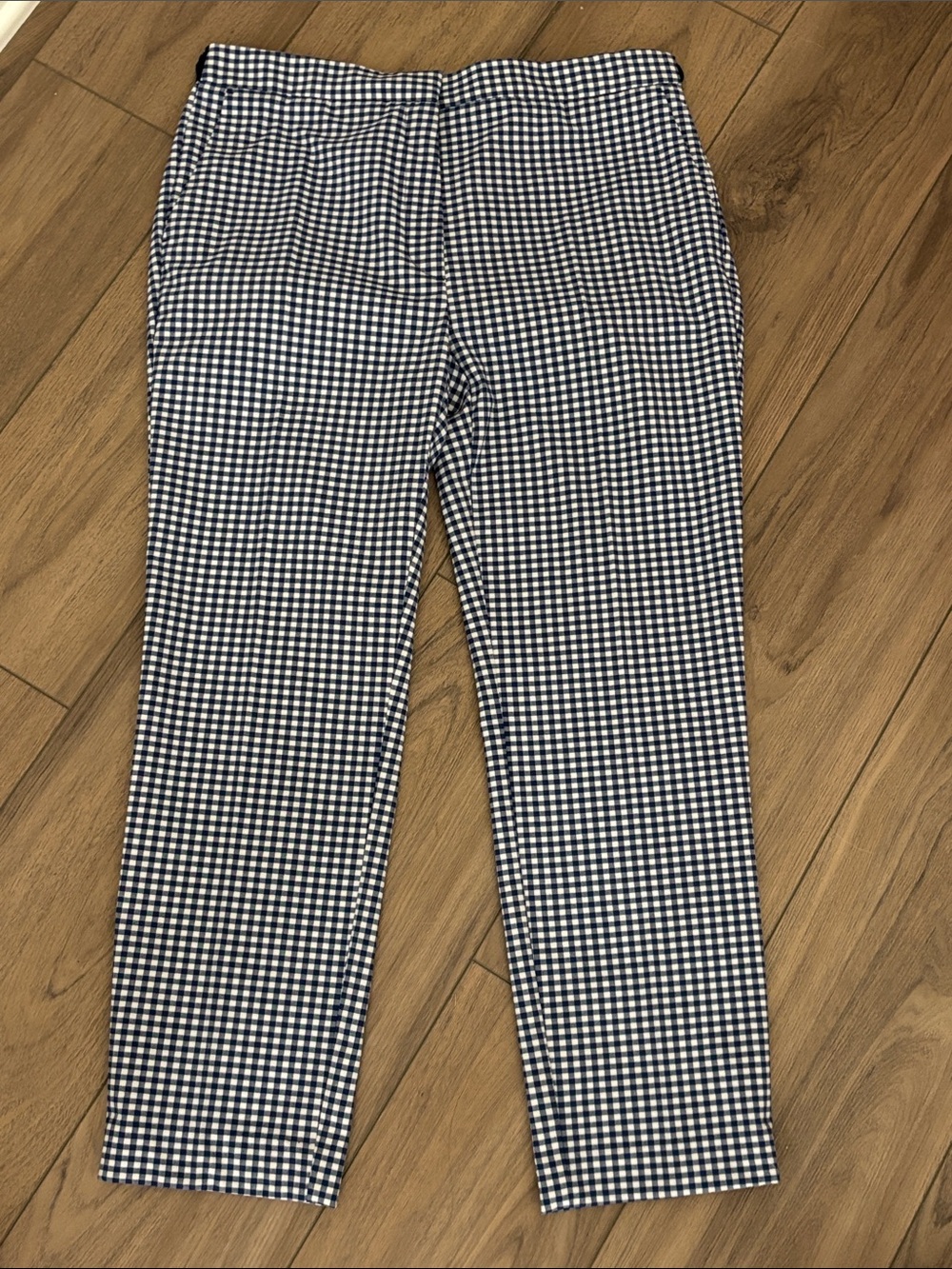 Zara Navy & White Gingham Stretch Pants